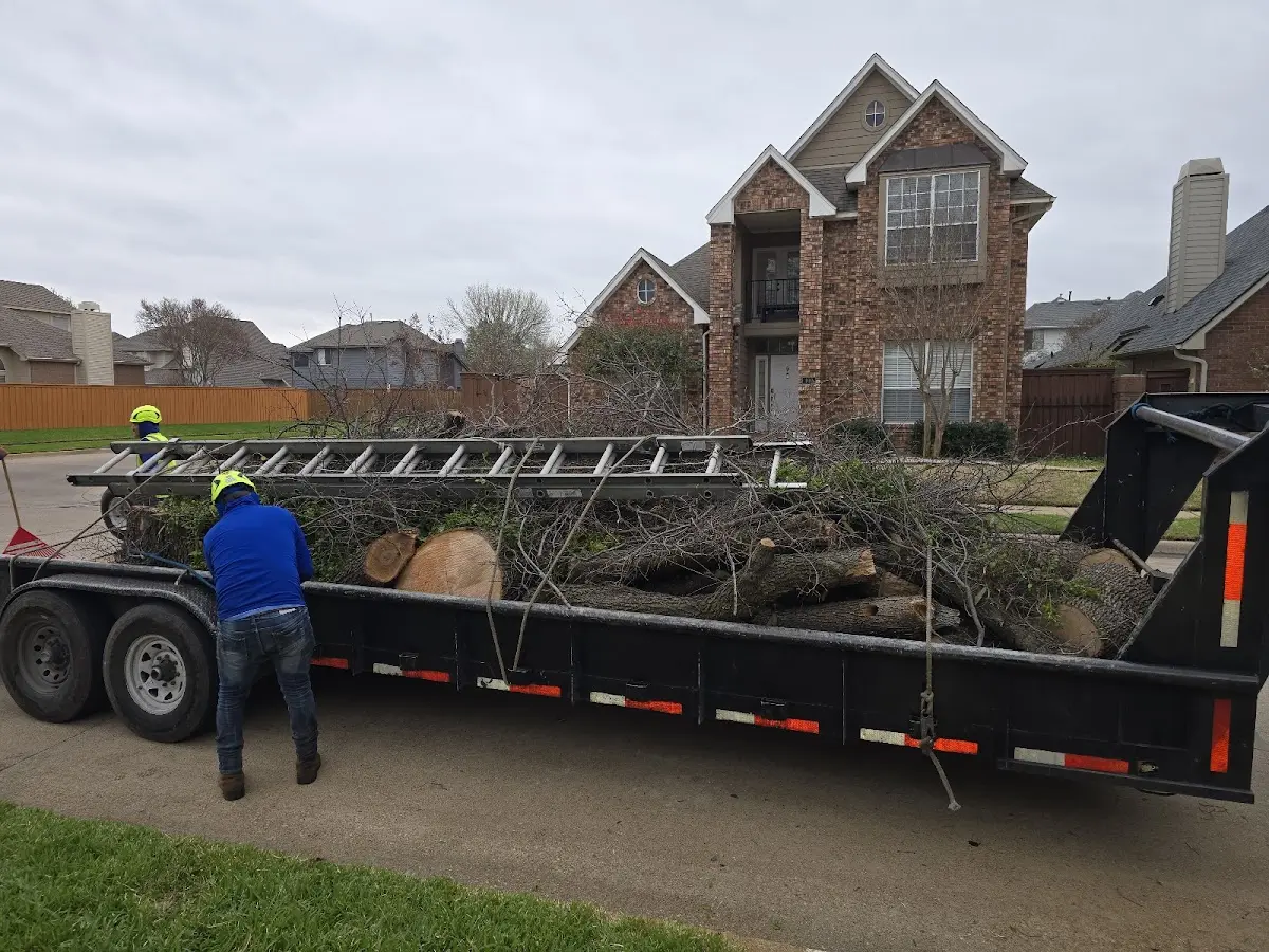 Expert Lot Clearing with proper safety equipment in Clothier